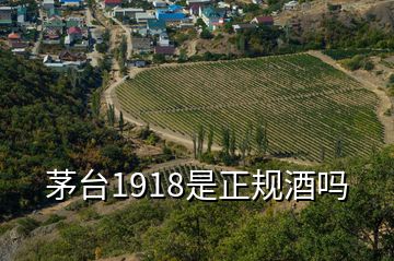 茅臺1918是正規(guī)酒嗎