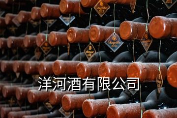 洋河酒有限公司