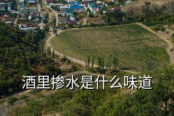 酒里摻水是什么味道