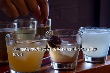 老貴州茅臺(tái)酒收藏網(wǎng)有專業(yè)的茅臺(tái)收藏網(wǎng)站嗎可以鑒別真?zhèn)魏湍?></p>
<h2 id=