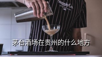 茅臺酒場在貴州的什么地方