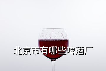 北京市有哪些啤酒廠