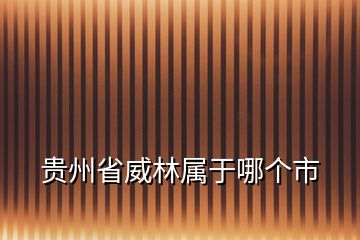 貴州省威林屬于哪個市