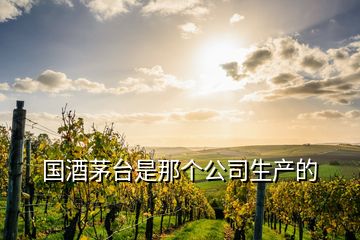 國酒茅臺是那個(gè)公司生產(chǎn)的