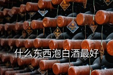 什么東西泡白酒最好