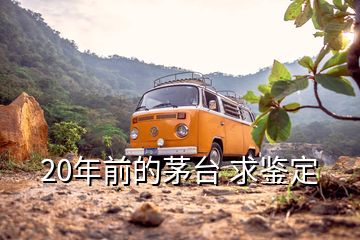 20年前的茅臺(tái) 求鑒定