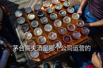 茅臺高夫酒是哪個公司運營的