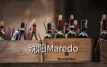 沈陽Maredo