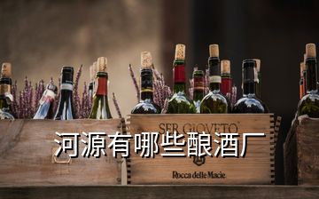 河源有哪些釀酒廠