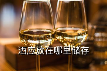 酒應(yīng)放在哪里儲存