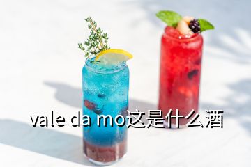 vale da mo這是什么酒