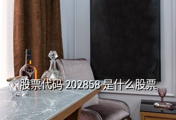 股票代碼 202858 是什么股票