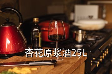 杏花原漿酒25L