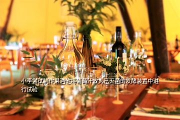 小李嘗試制作果酒他將葡萄汁放入已滅菌的發(fā)酵裝置中進(jìn)行試驗