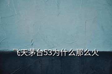 飛天茅臺(tái)53為什么那么火