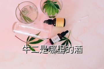 牛二是哪里的酒