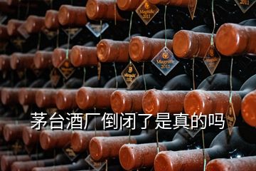 茅臺酒廠倒閉了是真的嗎