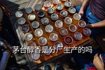 茅臺(tái)醇香是分廠生產(chǎn)的嗎