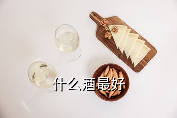 什么酒最好