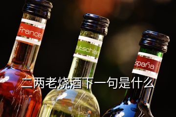 二兩老燒酒下一句是什么