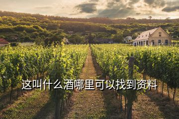 這叫什么酒哪里可以找到資料