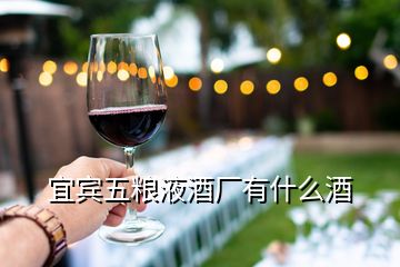 宜賓五糧液酒廠有什么酒