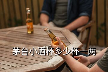 茅臺(tái)小酒杯多少杯一兩