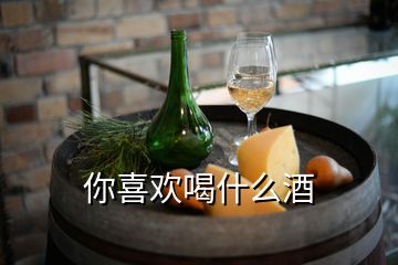 你喜歡喝什么酒