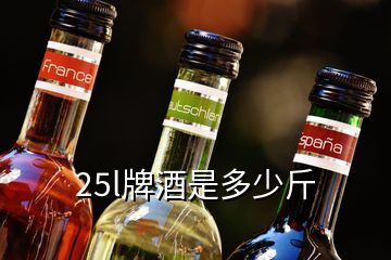 25l牌酒是多少斤