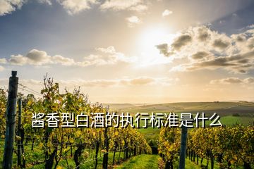 醬香型白酒的執(zhí)行標準是什么