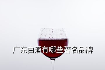 廣東白酒有哪些著名品牌