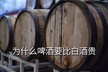 為什么啤酒要比白酒貴