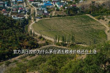 官方高壓控價為什么茅臺酒五糧液價格還在上漲