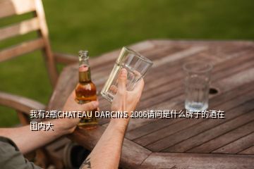 我有2瓶CHATEAU DARCINS 2006請問是什么牌子的酒在國內(nèi)大