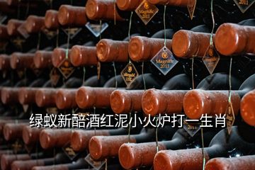 綠蟻新醅酒紅泥小火爐打一生肖