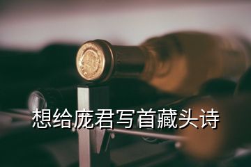 想給龐君寫首藏頭詩