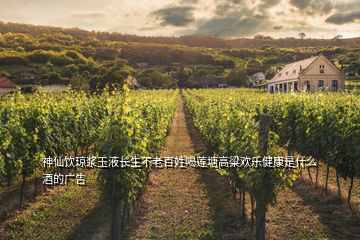 神仙飲瓊漿玉液長生不老百姓喝蓮塘高粱歡樂健康是什么酒的廣告