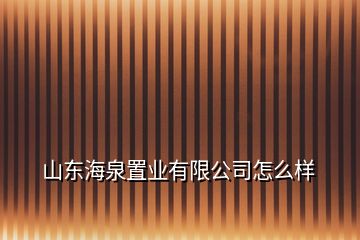 山東海泉置業(yè)有限公司怎么樣