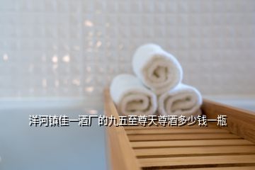 洋河鎮(zhèn)佳一酒廠的九五至尊天尊酒多少錢一瓶