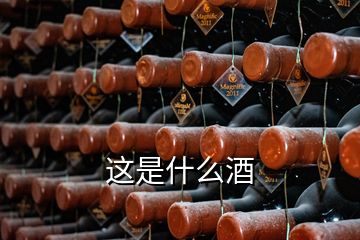 這是什么酒