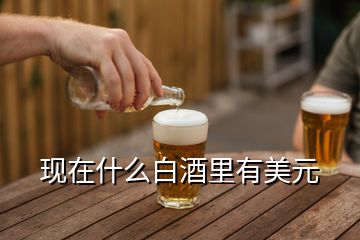 現(xiàn)在什么白酒里有美元