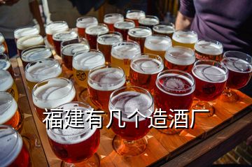 福建有幾個造酒廠