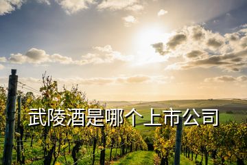 武陵酒是哪個(gè)上市公司