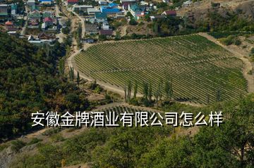 安徽金牌酒業(yè)有限公司怎么樣