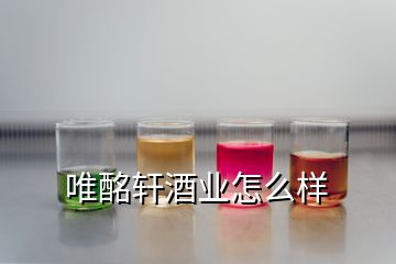 唯酩軒酒業(yè)怎么樣