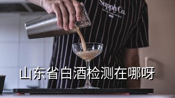 山東省白酒檢測在哪呀