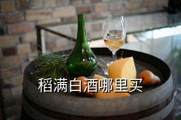 稻滿(mǎn)白酒哪里買(mǎi)