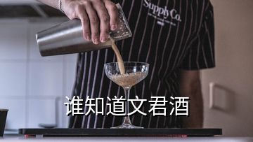 誰(shuí)知道文君酒