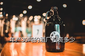 年產(chǎn)30噸的酒廠投資多少