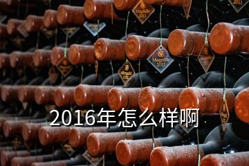 2016年怎么樣啊